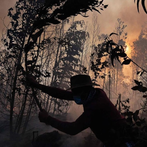 Profile picture of user baxtiyorov jonibek