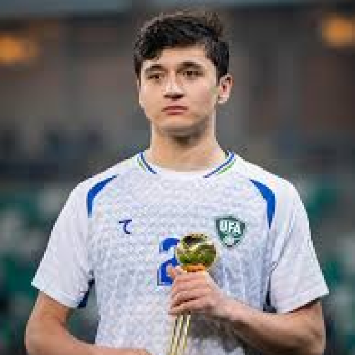 Profile picture of user Mirziyo Esonaliyev