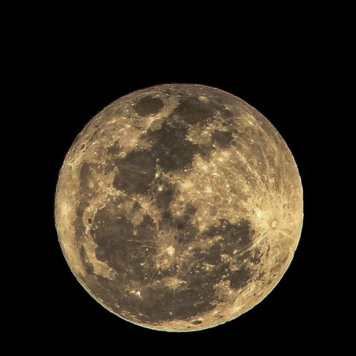 Profile picture of user obidjonovashukrona