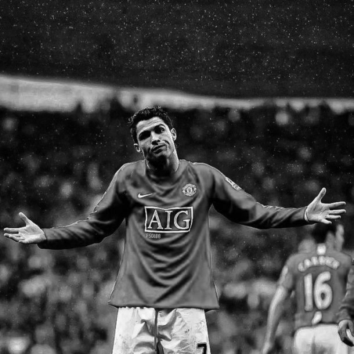 Profile picture of user revuz