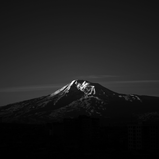 Profile picture of user javohir