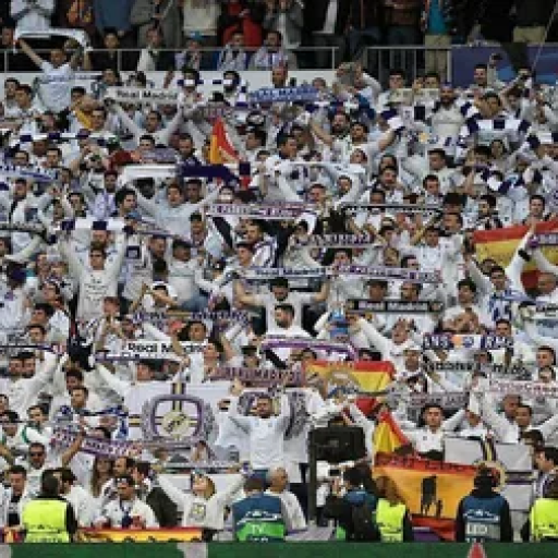 Profile picture of user Qayumov Ibrohim