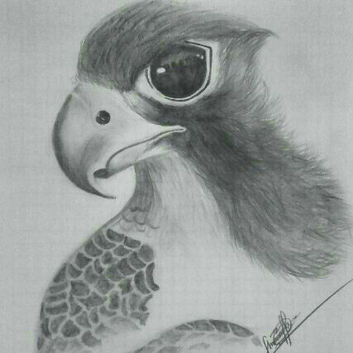 Profile picture of user Abdulloh Shomurodov