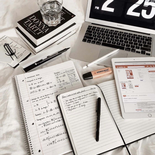 Profile picture of user Mustafo Ortiqboyev