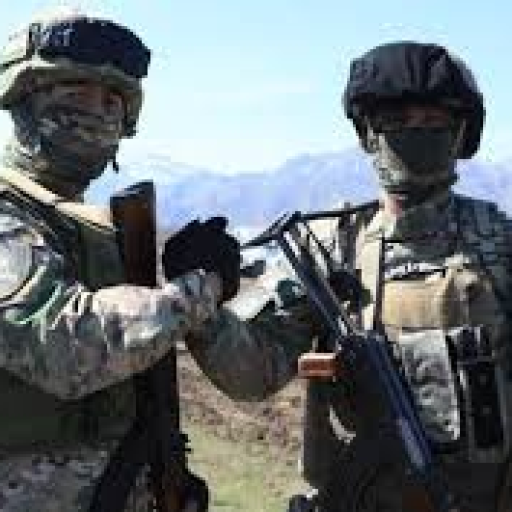 Profile picture of user amir