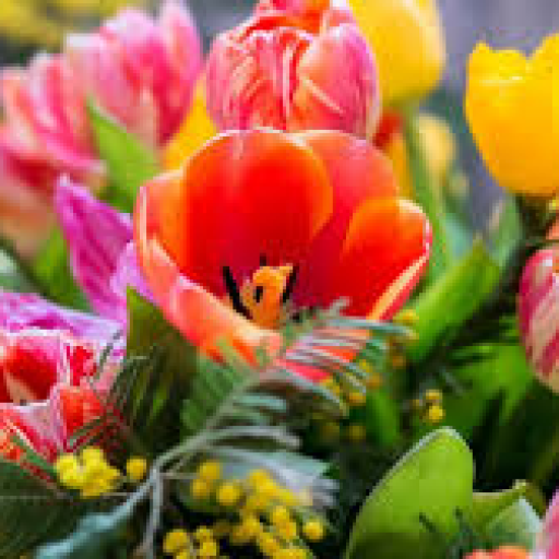 Profile picture of user Kamolova Gulirano