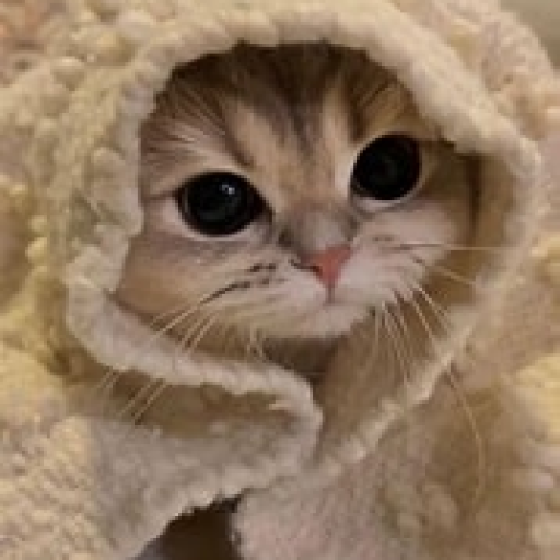 Profile picture of user 𝓃𝑜𝓏𝒾𝓂𝒶