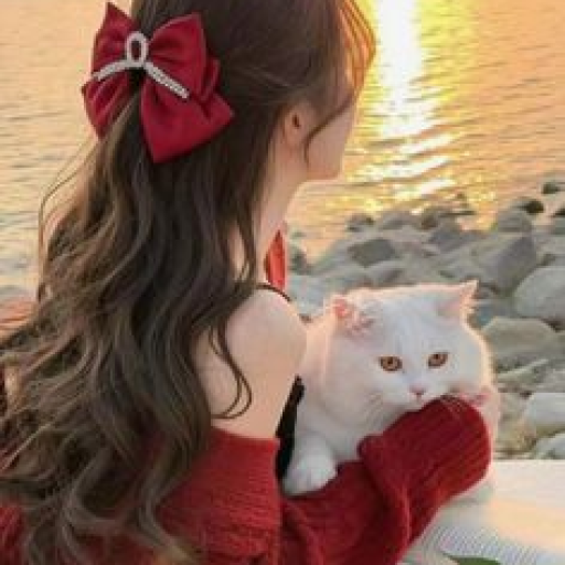 Profile picture of user Usarova Vazira