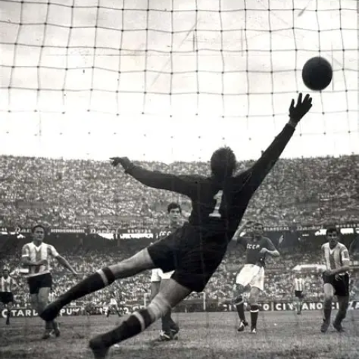 Profile picture of user umarbek