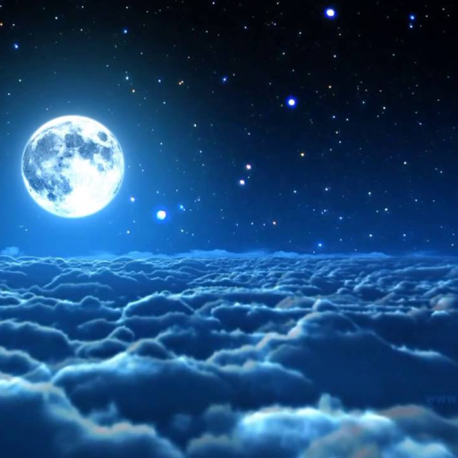 Profile picture of user MAST3R