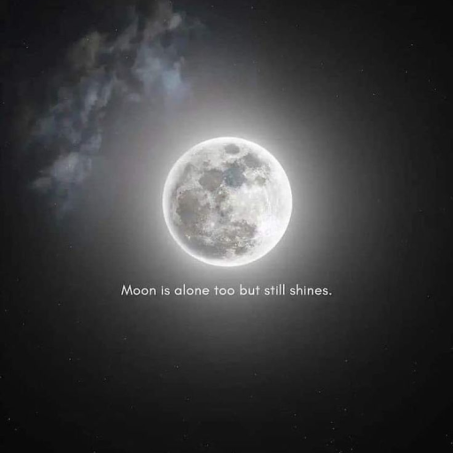 Profile picture of user alpha