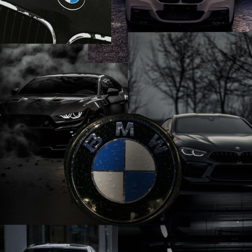 Profile picture of user Pari_♡🌷