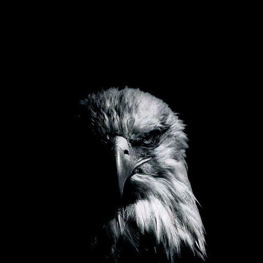 Profile picture of user javohir