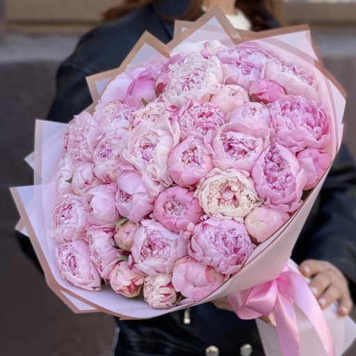 Profile picture of user Karimova Dilnura