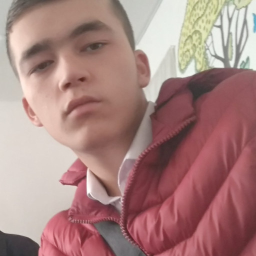 Profile picture of user Otabek Tursunov