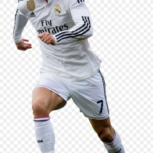 Profile picture of user sdfadfg