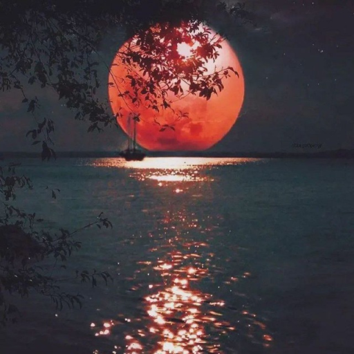 Profile picture of user Morphy Mirmaqsudov moonw