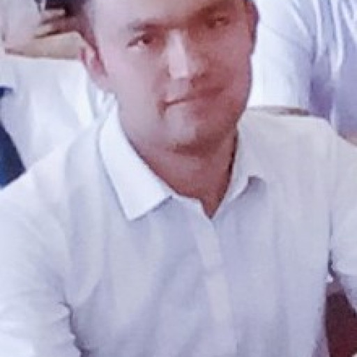 Profile picture of user Sardor Mamadaliev