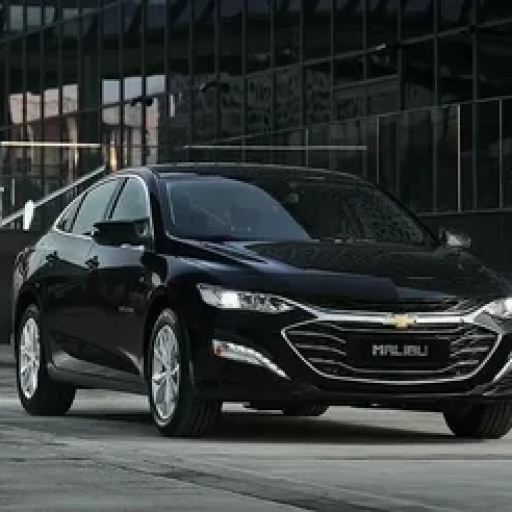 Profile picture of user PULATOV BILOL