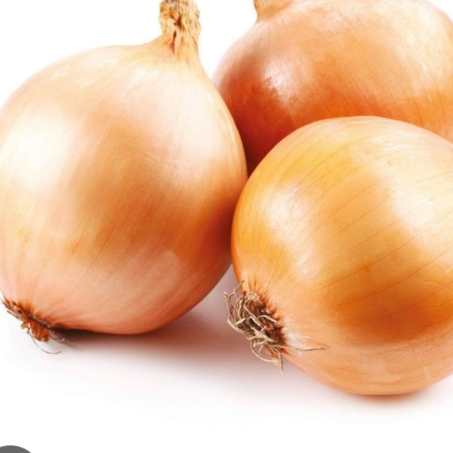 Profile picture of user Elnura 2014