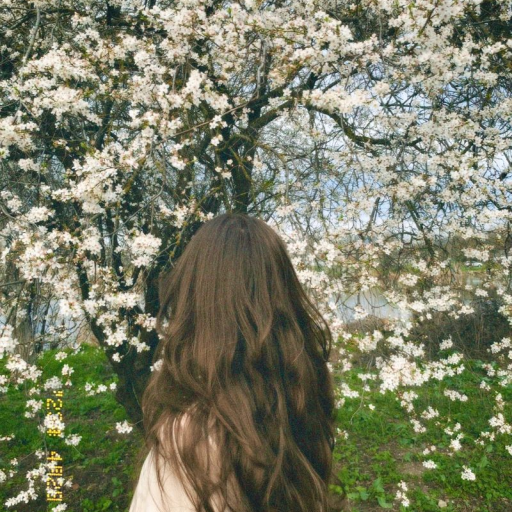 Profile picture of user Dilso'z Shodiyeva
