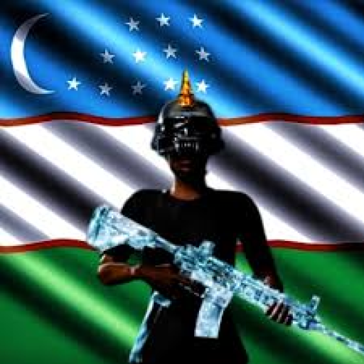 Profile picture of user Raxmatullayev Ilhom