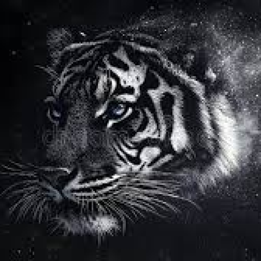 Profile picture of user Mirxonov Behruz