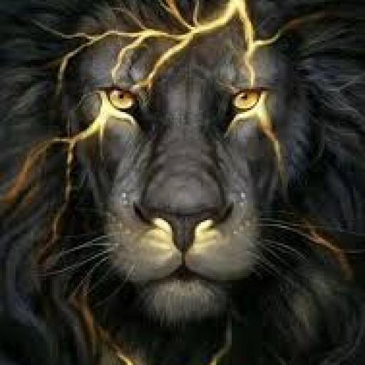 Profile picture of user Komilov Akbar