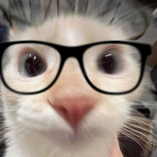 Profile picture of user follow_bosuvchi