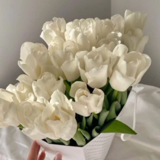 Profile picture of user Odına pirimqulova
