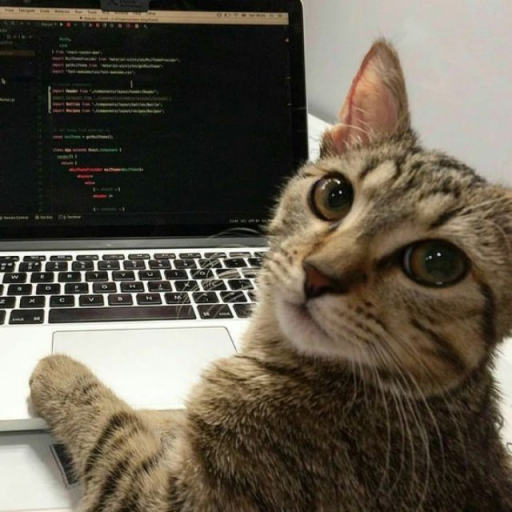 Profile picture of user Orinbosarov Ramazan