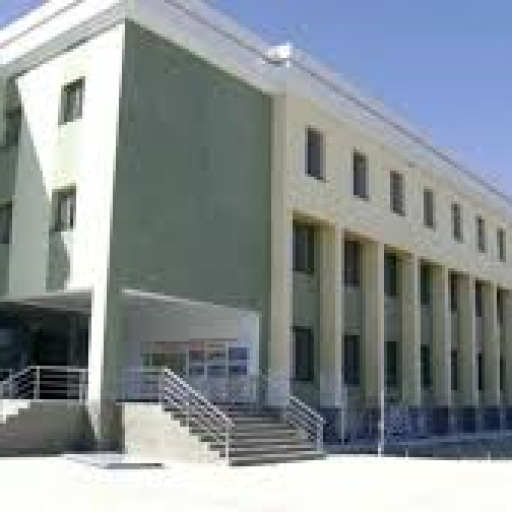 Profile picture of user To'ymurodov Mirkomil