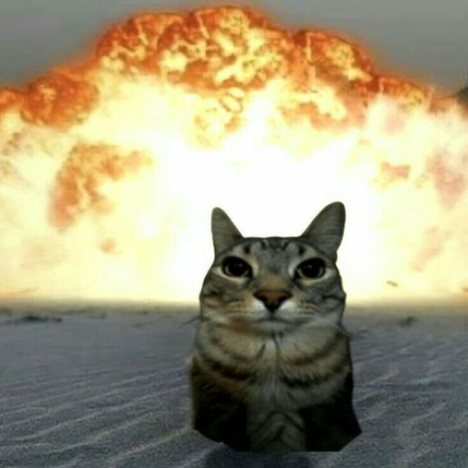 Profile picture of user Дауран Куанышев