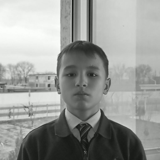 Profile picture of user Shaxriyor
