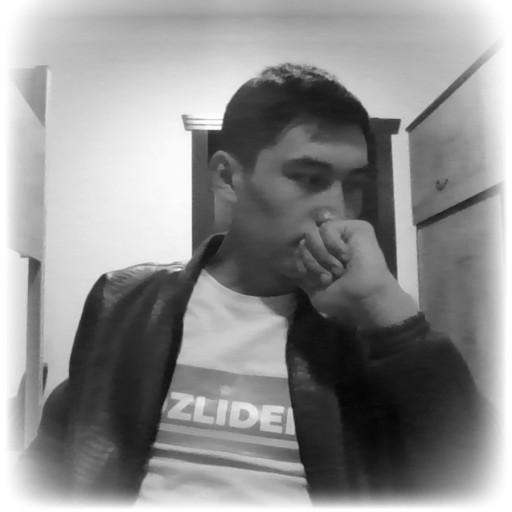 Profile picture of user Ibratillo Mirzayev