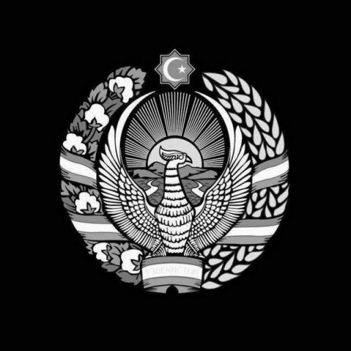 Profile picture of user muhammad_boburovich