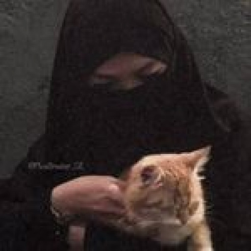 Profile picture of user Xushnora