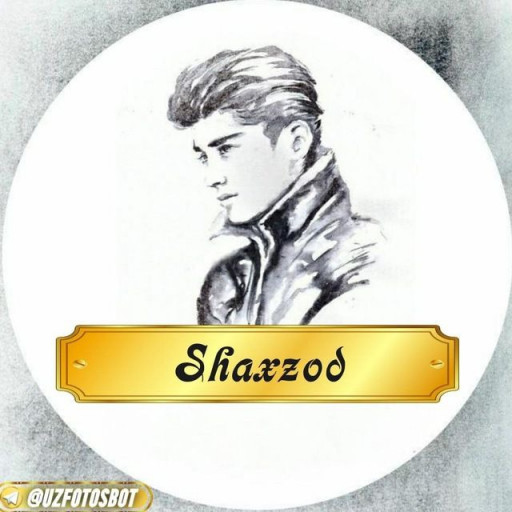 Profile picture of user Shaxzod Rashidov