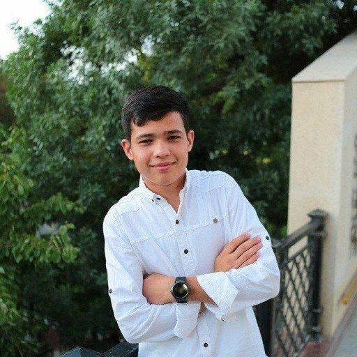 Profile picture of user Ali Ochilov