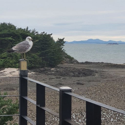 Profile picture of user suhrobjon yusupov