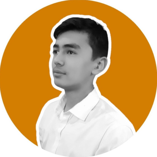 Profile picture of user Dilmurod Yo'ldoshev
