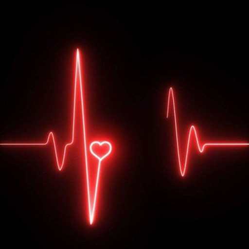 Profile picture of user Oddiy bola