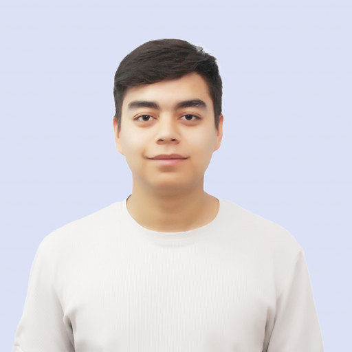 Profile picture of user Azizbek Tajibaev