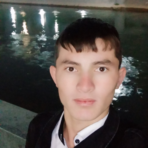 Profile picture of user Dilmurod Tolibov