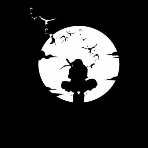 Profile picture of user matkarimov elyor