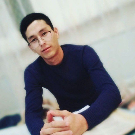 Profile picture of user Jakhangir Esanov