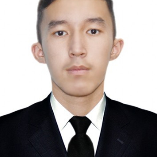 Profile picture of user Fazliddin Tirkashev