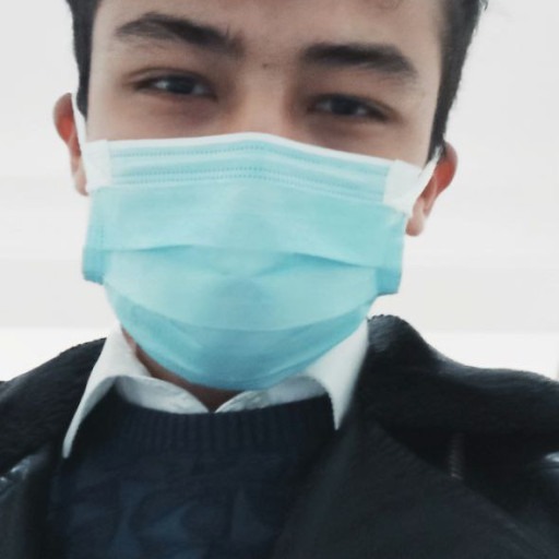 Profile picture of user Ravshan Baratov