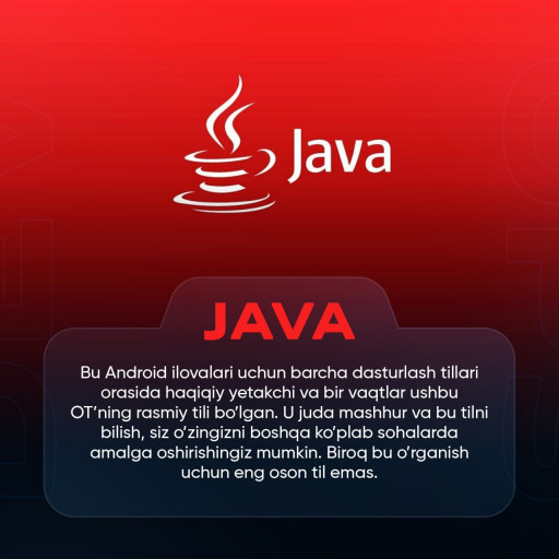 Profile picture of user Saidjakbar yuldashev