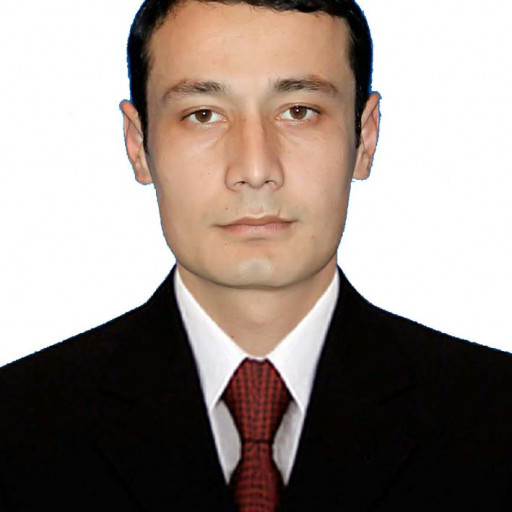 Profile picture of user Elbek Jumayev